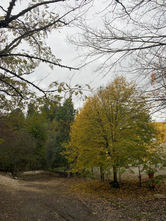 A Casa Da Lua Villa Tomar Eksteriør bilde
